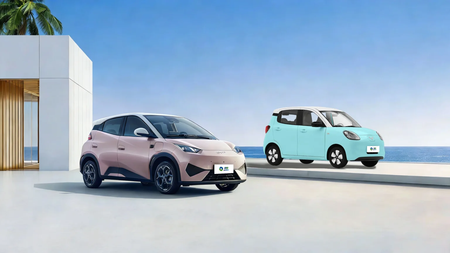 Chinese Electric Vehicles